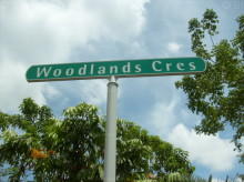 Woodlands Crescent #88182